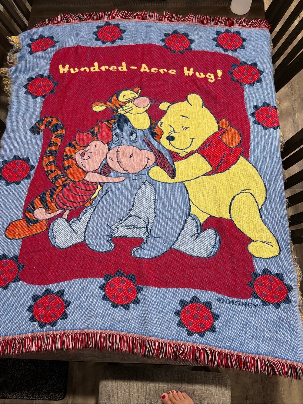 Disney Winnie the Pooh Red, Blue & Yellow Hundred-Acre Hug Throw Blanket